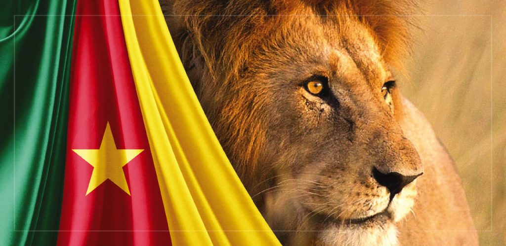 Cameroon, The Lion Roars Again
